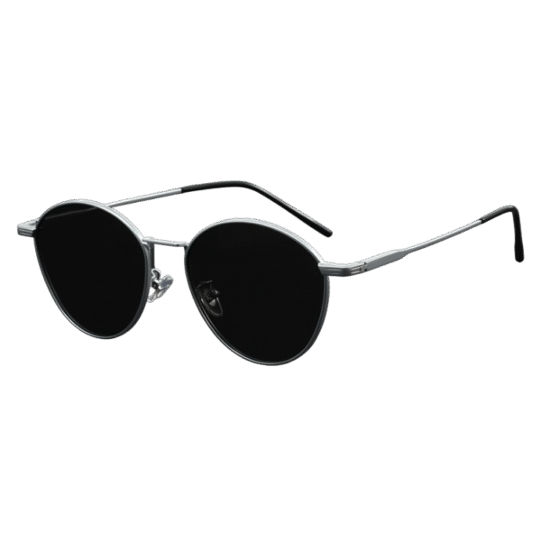 Sunglasses S13