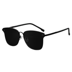 Sunglasses S11