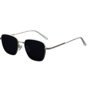 Sunglasses S19